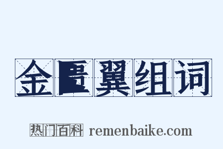 金匮翼组词是什么意思的图片